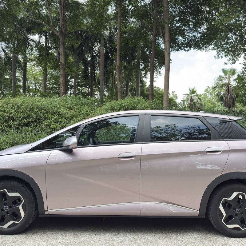 Dolphin 2021 405km Fashion Edition Dolphin 2021 405km Fashion Edition