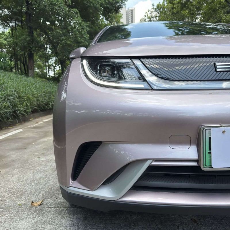 Dolphin 2021 405km Fashion Edition Dolphin 2021 405km Fashion Edition