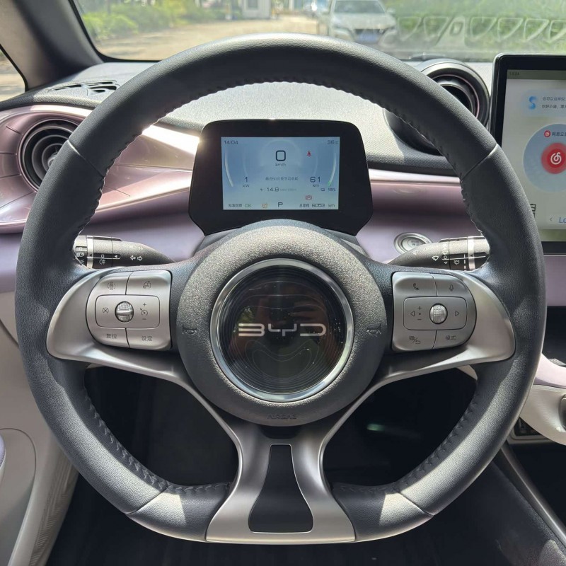 Dolphin 2021 405km Fashion Edition Dolphin 2021 405km Fashion Edition