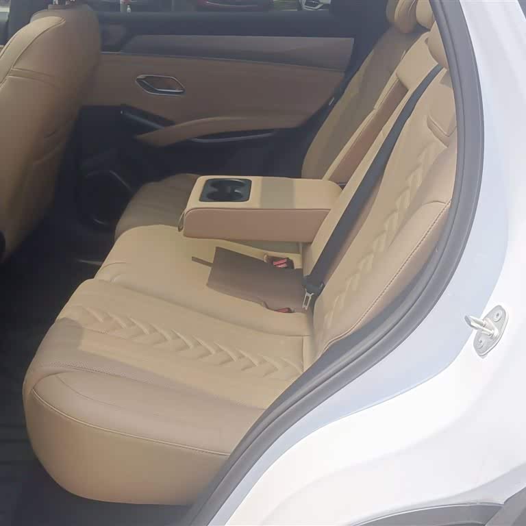 Song L DM-i 2024 model 160km surpassing model Song L DM-i 2024 model 160km surpassing model