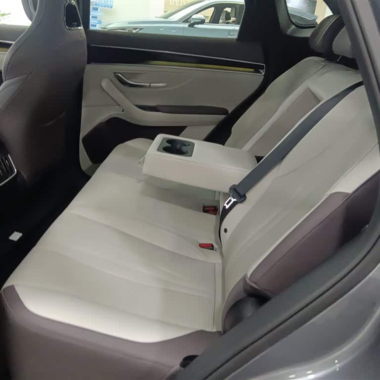 Song PLUS New Energy 2025 DM-i 112KM Premium Edition Song PLUS New Energy 2025 DM-i 112KM Premium Edition