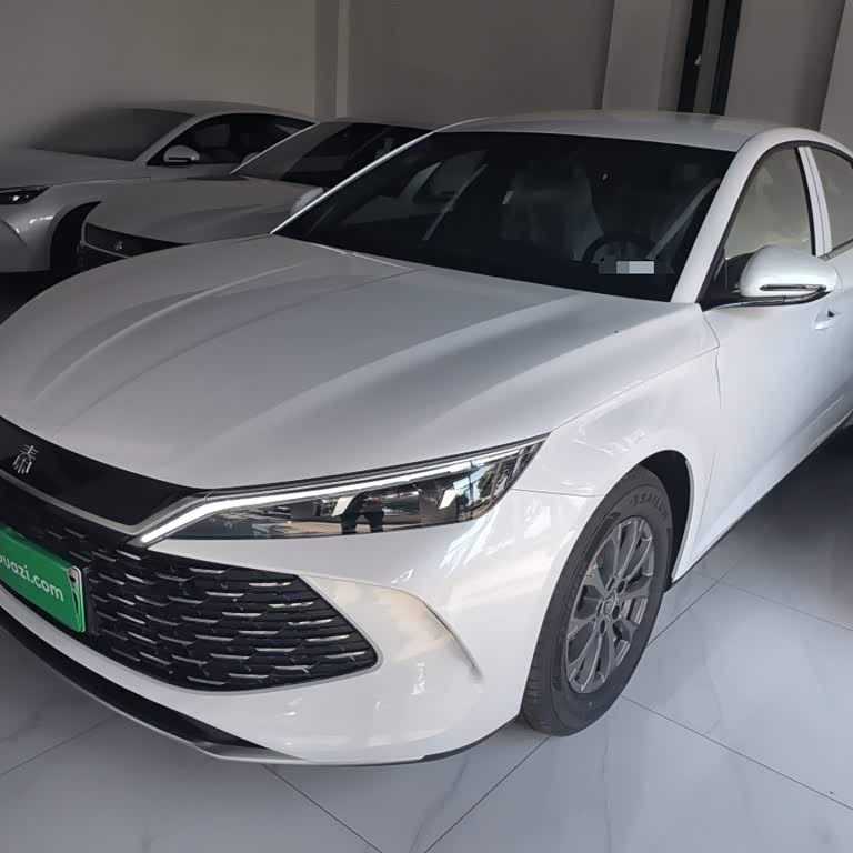 Qin L 2024 DM-i 80KM Leading Edition
