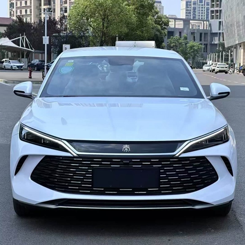 Qin L 2024 DM-i 80KM Leading Edition