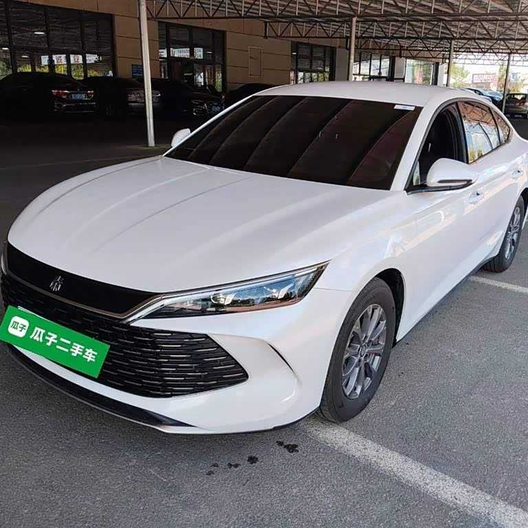 Qin L 2024 DM-i 80KM Leading Edition