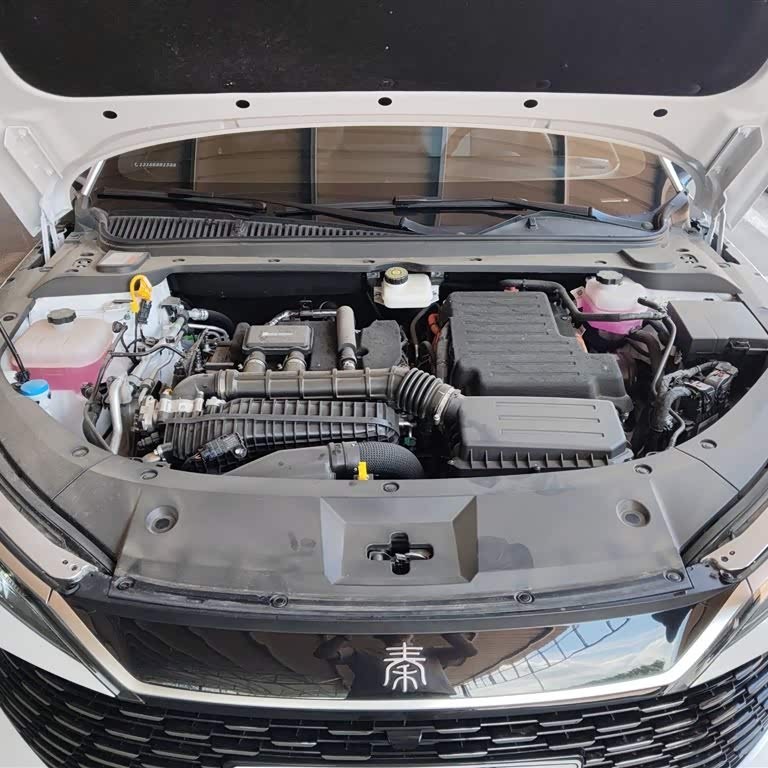 Qin L 2024 DM-i 80KM Leading Edition Qin L 2024 DM-i 80KM Leading Edition
