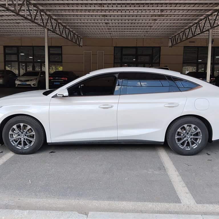 Qin L 2024 DM-i 80KM Leading Edition Qin L 2024 DM-i 80KM Leading Edition