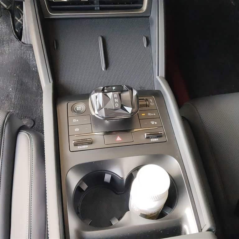 Qin L 2024 DM-i 80KM Leading Edition Qin L 2024 DM-i 80KM Leading Edition