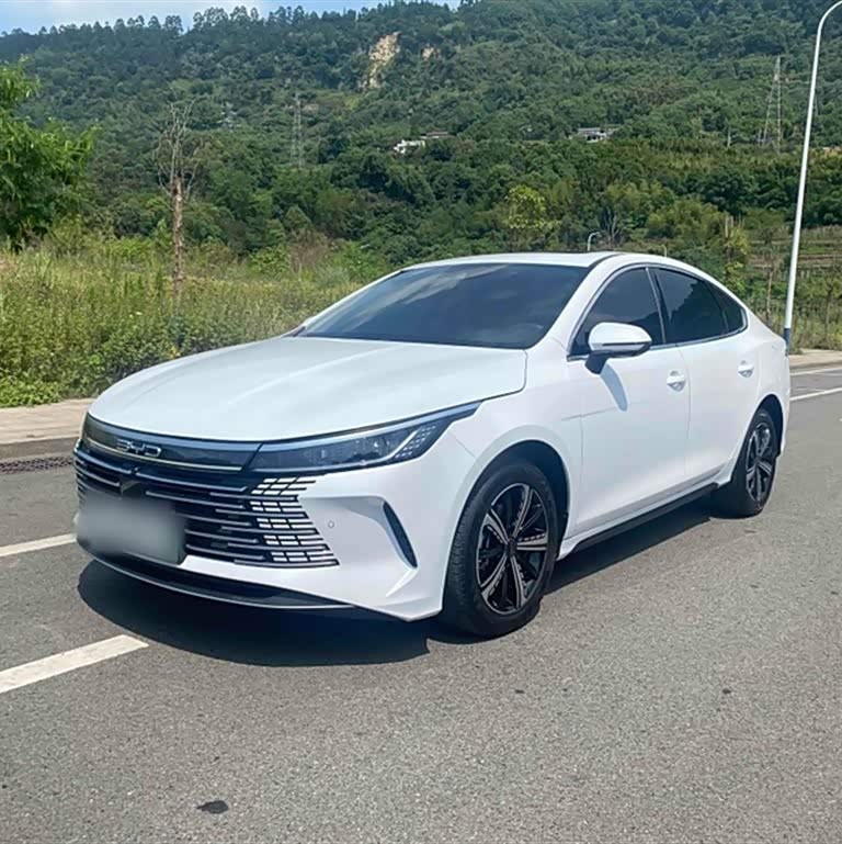 Destroyer 05 2024 Glory Edition DM-i 120KM Flagship Model Destroyer 05 2024 Glory Edition DM-i 120KM Flagship Model