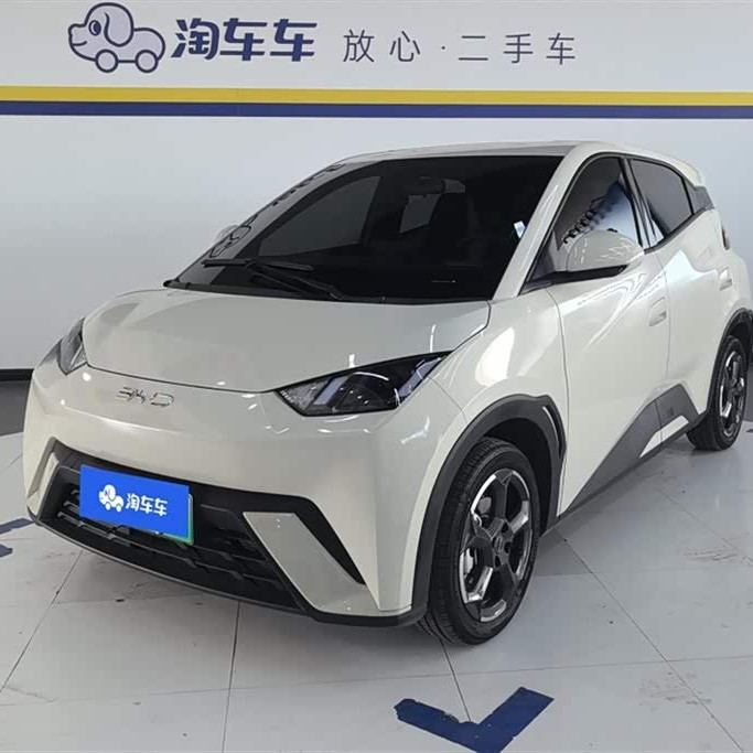 Seagull 2024 Glory Edition 305km Freedom Edition Seagull 2024 Glory Edition 305km Freedom Edition