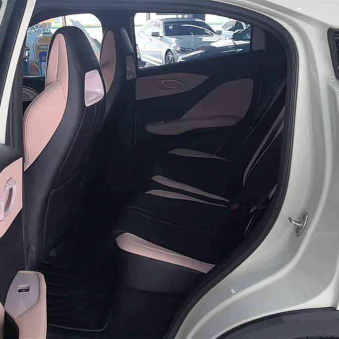Seagull 2024 Glory Edition 305km Freedom Edition Seagull 2024 Glory Edition 305km Freedom Edition