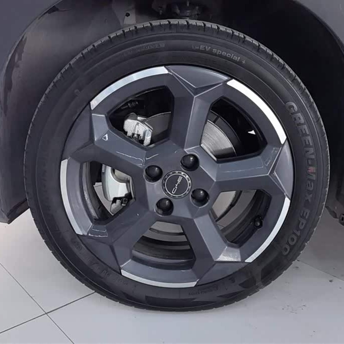 Seagull 2024 Glory Edition 305km Freedom Edition Seagull 2024 Glory Edition 305km Freedom Edition