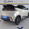 Seagull 2024 Glory Edition 305km Freedom Edition Seagull 2024 Glory Edition 305km Freedom Edition