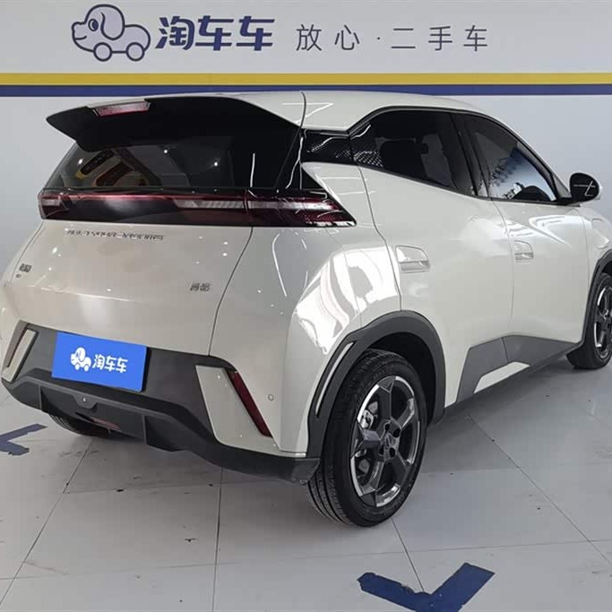 Seagull 2024 Glory Edition 305km Freedom Edition Seagull 2024 Glory Edition 305km Freedom Edition