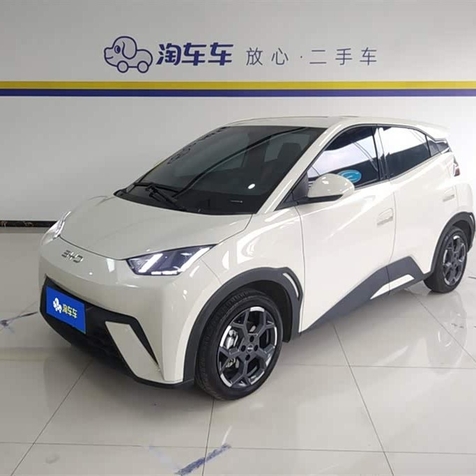 Seagull 2025 305km Freedom Edition