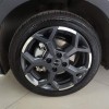 Seagull 2025 305km Freedom Edition