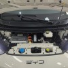 Seagull 2025 305km Freedom Edition