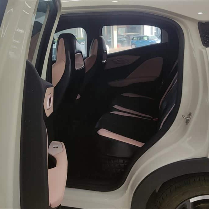 Seagull 2025 305km Freedom Edition Seagull 2025 305km Freedom Edition