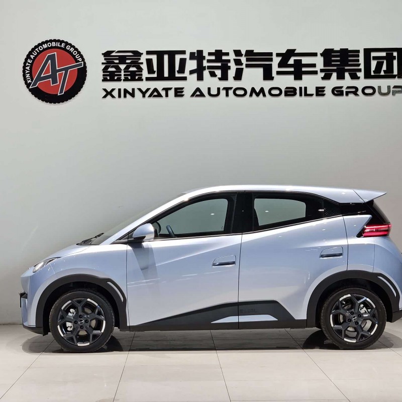 Seagull 2025 305km Freedom Edition Seagull 2025 305km Freedom Edition