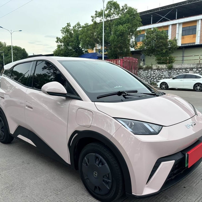 Seagull 2024 Glory Edition 305km Vitality Edition Seagull 2024 Glory Edition 305km Vitality Edition