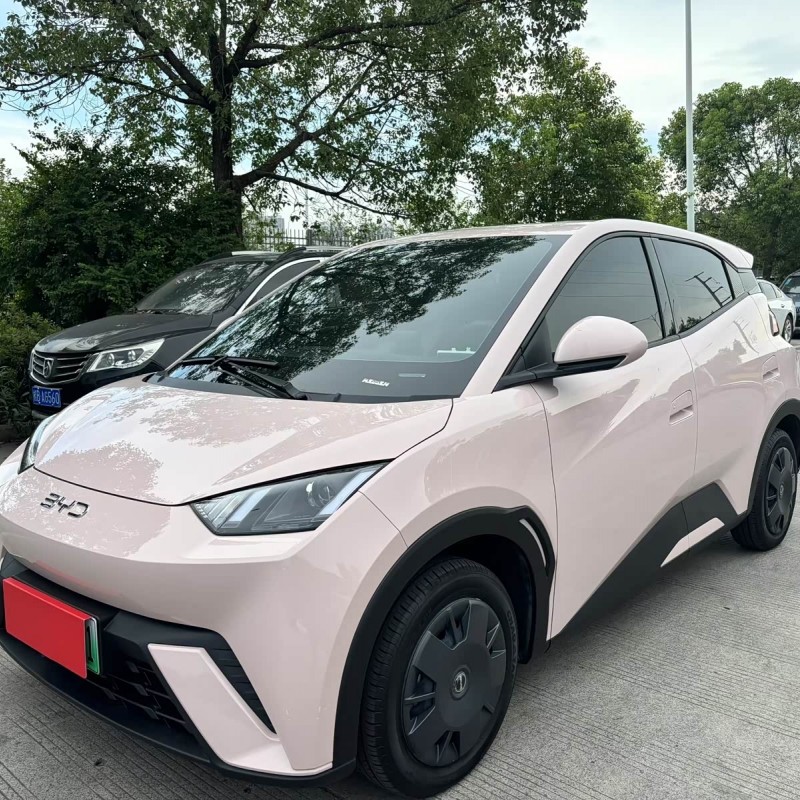Seagull 2024 Glory Edition 305km Vitality Edition Seagull 2024 Glory Edition 305km Vitality Edition