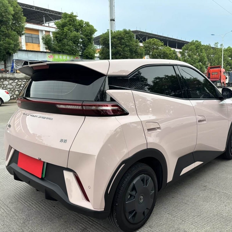 Seagull 2024 Glory Edition 305km Vitality Edition Seagull 2024 Glory Edition 305km Vitality Edition