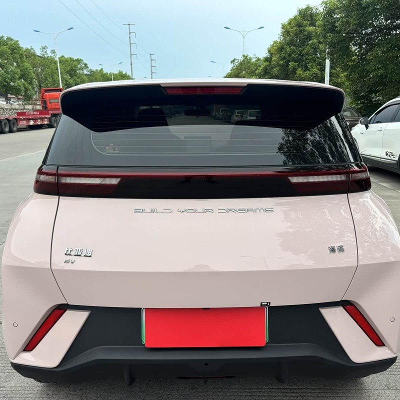 Seagull 2024 Glory Edition 305km Vitality Edition Seagull 2024 Glory Edition 305km Vitality Edition