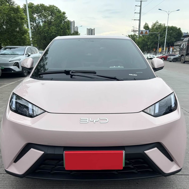 Seagull 2024 Glory Edition 305km Vitality Edition Seagull 2024 Glory Edition 305km Vitality Edition