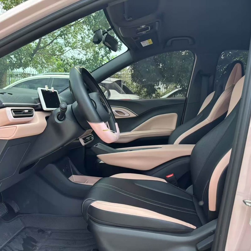 Seagull 2024 Glory Edition 305km Vitality Edition Seagull 2024 Glory Edition 305km Vitality Edition