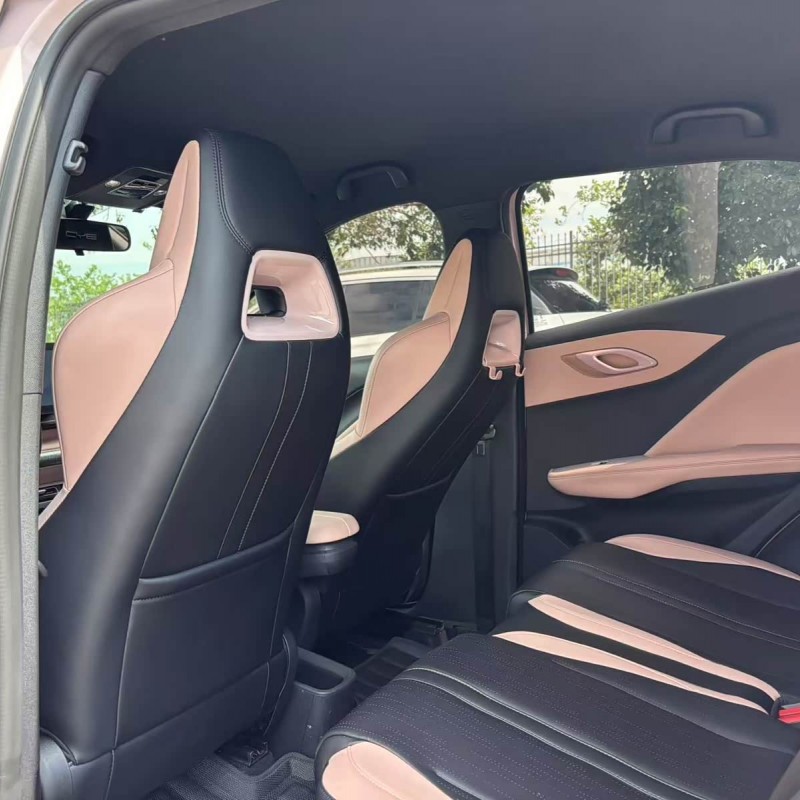 Seagull 2024 Glory Edition 305km Vitality Edition Seagull 2024 Glory Edition 305km Vitality Edition
