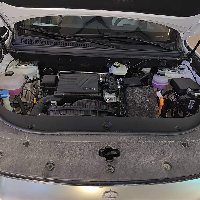 Song Pro New Energy 2025 Second Generation DM-i 115KM Beyond Edition Song Pro New Energy 2025 Second Generation DM-i 115KM Beyond Edition