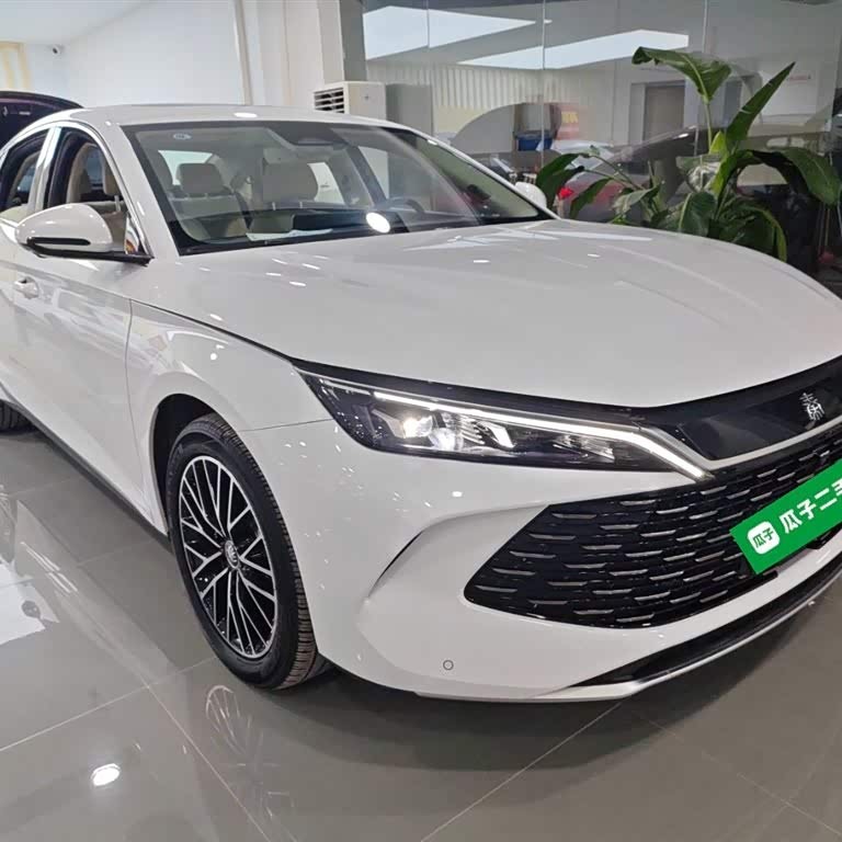 Qin L 2024 DM-i 120KM Excellence Edition Qin L 2024 DM-i 120KM Excellence Edition