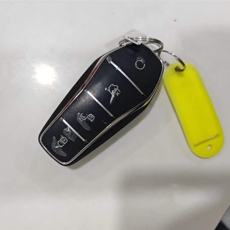 Qin L 2024 DM-i 120KM Excellence Edition Qin L 2024 DM-i 120KM Excellence Edition