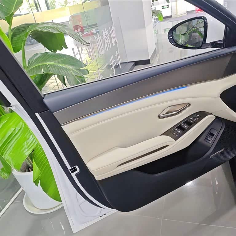 Qin L 2024 DM-i 120KM Excellence Edition Qin L 2024 DM-i 120KM Excellence Edition