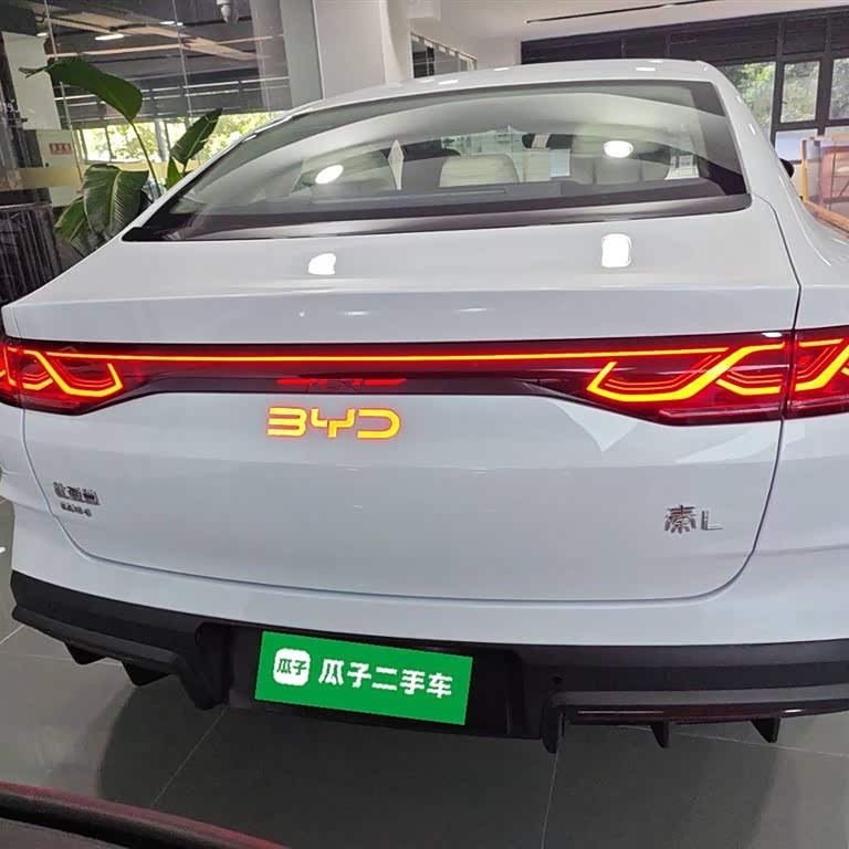 Qin L 2024 DM-i 120KM Excellence Edition Qin L 2024 DM-i 120KM Excellence Edition