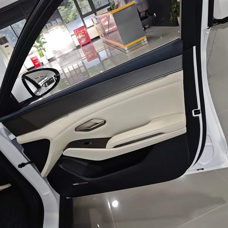 Qin L 2024 DM-i 120KM Excellence Edition Qin L 2024 DM-i 120KM Excellence Edition