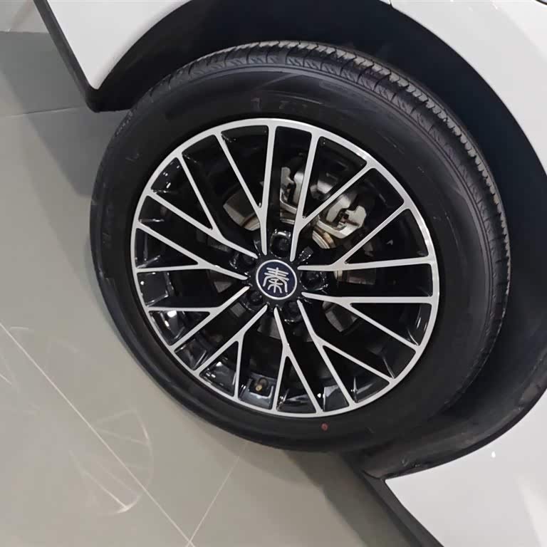 Qin L 2024 DM-i 120KM Excellence Edition Qin L 2024 DM-i 120KM Excellence Edition