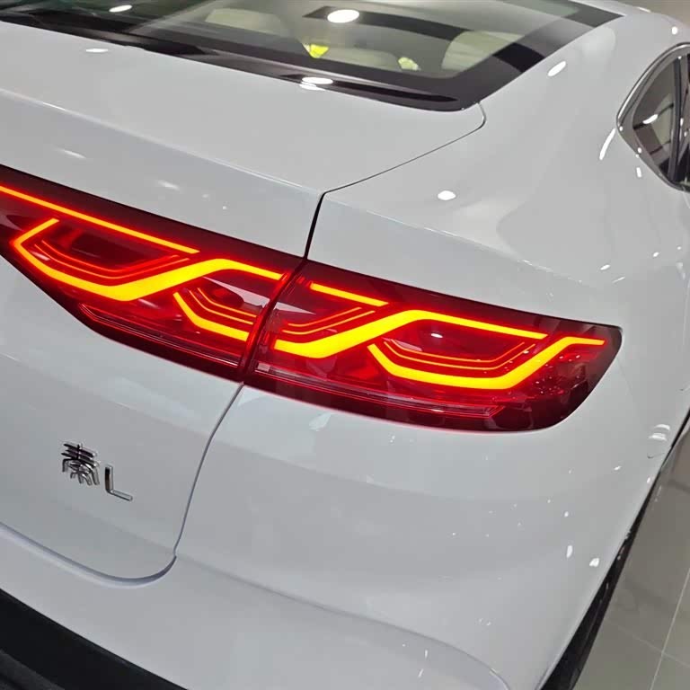 Qin L 2024 DM-i 120KM Excellence Edition Qin L 2024 DM-i 120KM Excellence Edition