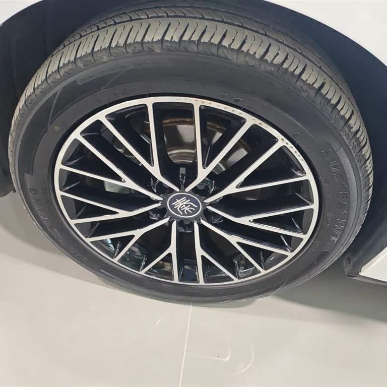 Qin L 2024 DM-i 120KM Excellence Edition Qin L 2024 DM-i 120KM Excellence Edition