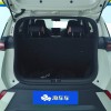 Seagull 2025 305km Vitality Edition