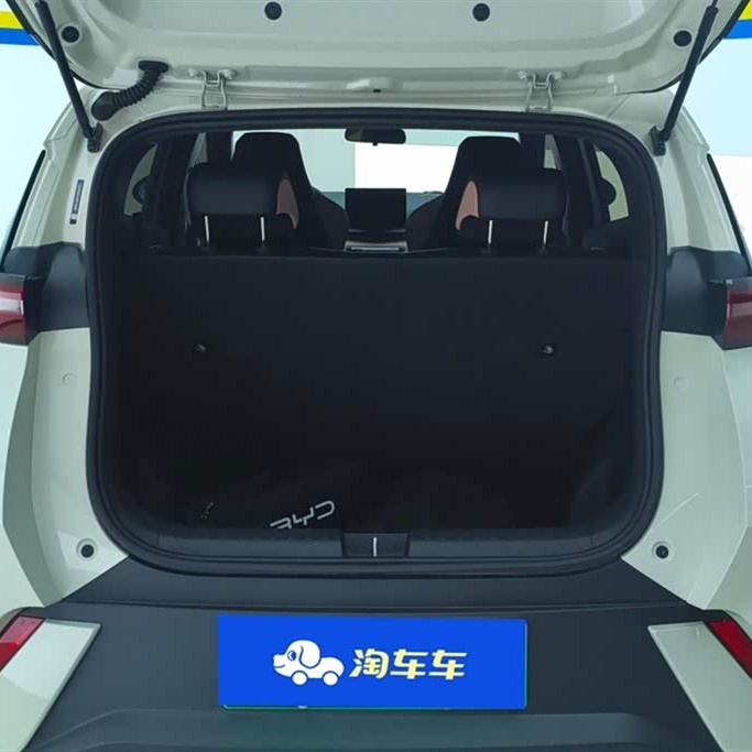 Seagull 2025 305km Vitality Edition Seagull 2025 305km Vitality Edition