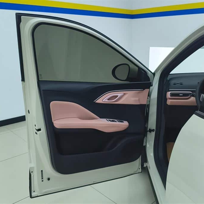 Seagull 2025 305km Vitality Edition Seagull 2025 305km Vitality Edition
