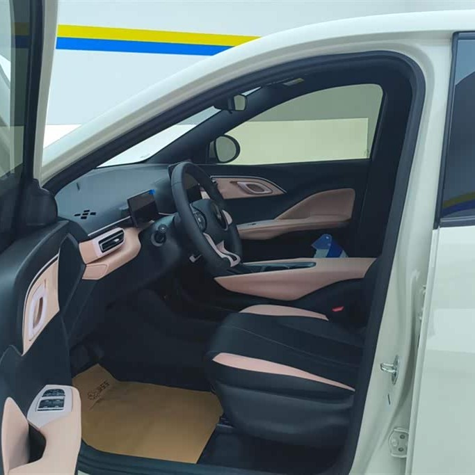 Seagull 2025 305km Vitality Edition Seagull 2025 305km Vitality Edition
