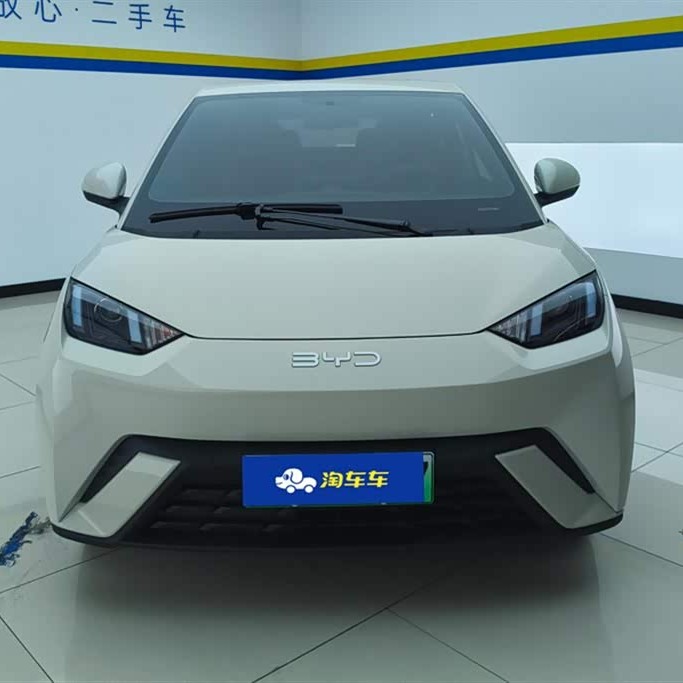 Seagull 2025 305km Vitality Edition Seagull 2025 305km Vitality Edition