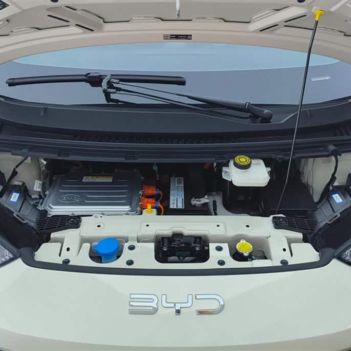 Seagull 2025 305km Vitality Edition Seagull 2025 305km Vitality Edition