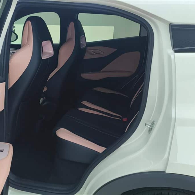 Seagull 2025 305km Vitality Edition Seagull 2025 305km Vitality Edition