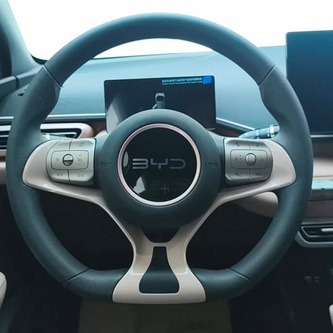 Seagull 2025 305km Vitality Edition Seagull 2025 305km Vitality Edition
