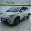 Seagull 2025 305km Vitality Edition