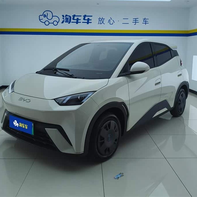 Seagull 2025 305km Vitality Edition