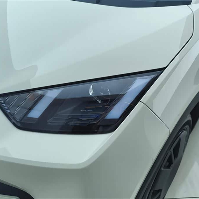 Seagull 2025 305km Vitality Edition Seagull 2025 305km Vitality Edition