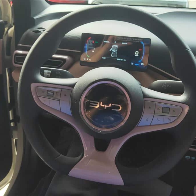 Seagull 2025 Smart Driving Edition 305km Vitality Edition Seagull 2025 Smart Driving Edition 305km Vitality Edition